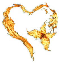 Heart on Fire